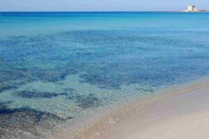 mare